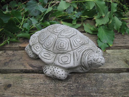 KA44 Tortoise KA44 Tortoise